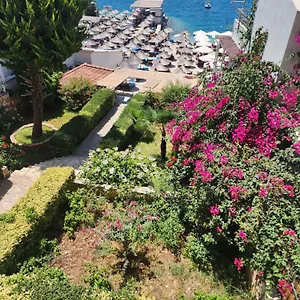 Hotel Amelie's &, Saranda